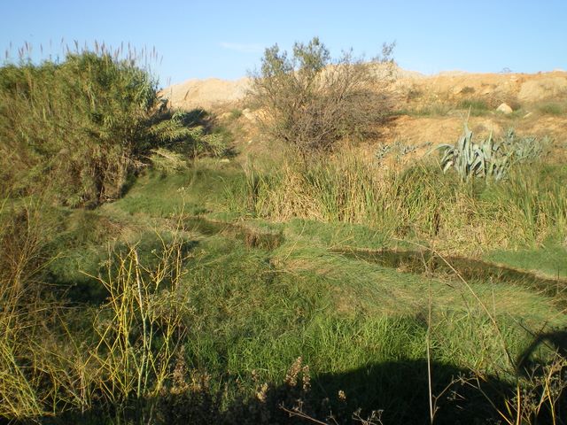 BARRANC DELS CAVALLS